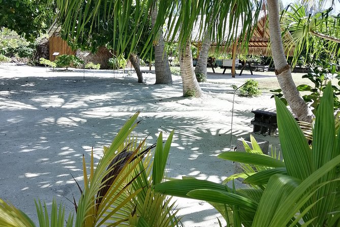 PRIVATE FULL DAY LAGOON TOUR - Bora Bora Cultural Lagoon Tour - Bora Bora’s Lagoon Is the Main Event