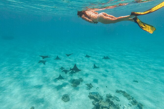 PRIVATE FULL DAY LAGOON TOUR - Bora Bora Cultural Lagoon Tour - Local Guides Add More Than Directions