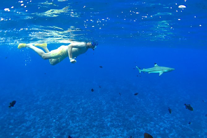 PRIVATE FULL DAY LAGOON TOUR - Bora Bora Cultural Lagoon Tour - Three Lagoon Stops, Three Different Views