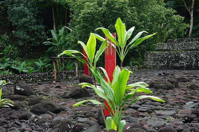 Private Full-Day Tahiti — Grotto, Gardens & Panoramas - Maraa Grotto and the cool side of Tahiti