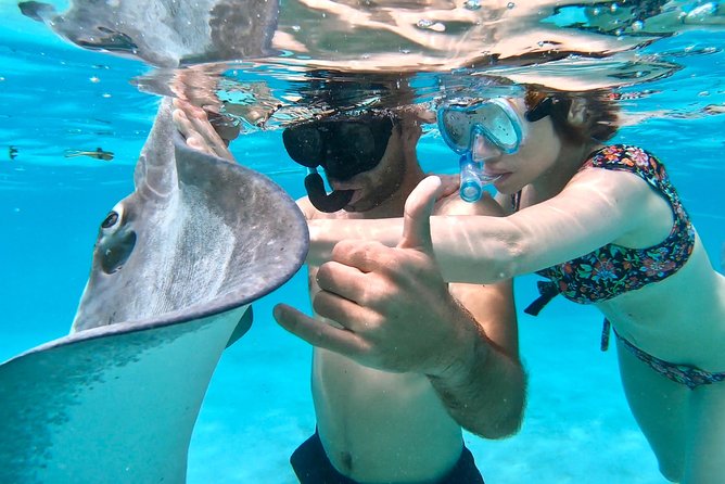 PRIVATE Full Day Tour : Moorea Snorkeling & Sailing on a Catamaran named Taboo - Snorkeling With Sharks, Rays, and Coral Gardens