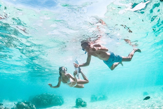 PRIVATE Full Day Tour : Moorea Snorkeling & Sailing on a Catamaran named Taboo - Who Should Book Taboo