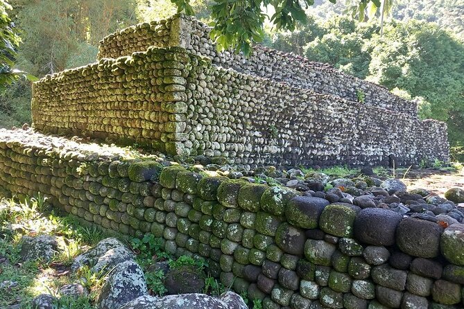 Private Full Day Tour of Tahiti - Maraa Grotto brings you into the rainforest