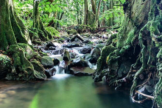Private Half-Day Hike in the Opunohu Valley in Moorea - Archaeological trails add an older layer
