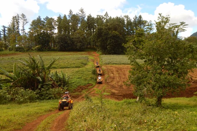 Private Half-Day Hike in the Opunohu Valley in Moorea - What four hours feels like