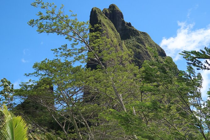 Private Half-Day Hike in the Opunohu Valley in Moorea - The value of a $668 private experience