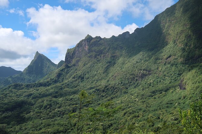 Private Half-Day Hike in the Opunohu Valley in Moorea - Who should book this hike