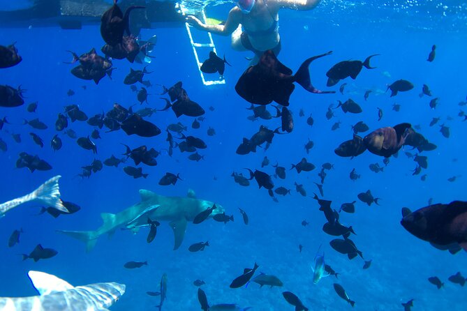 PRIVATE HALF DAY LAGOON TOUR - Bora Bora Cultural Lagoon Tour - What the private format is worth