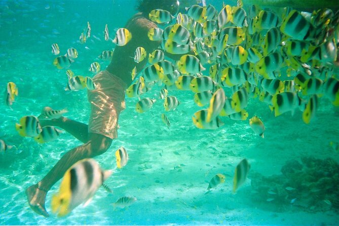 Private Half Day Sailing Excursion on the Lagoon of Tahiti - First stop: wreck sites at 10 to 12 meters