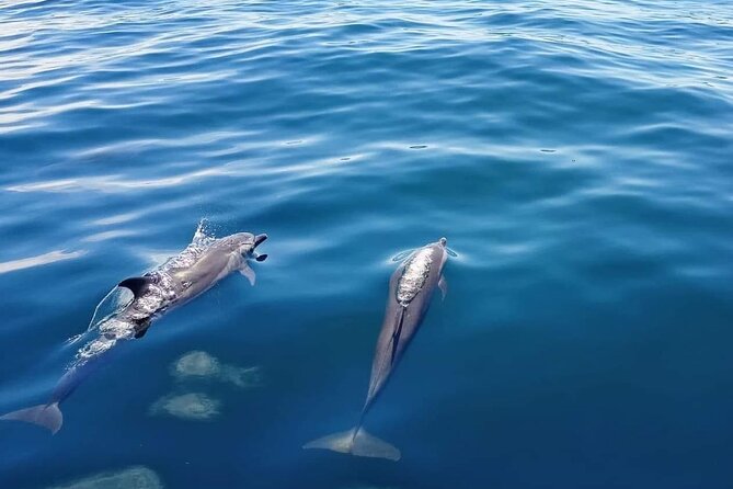 Private Half Day Sailing Excursion on the Lagoon of Tahiti - What the private format is worth