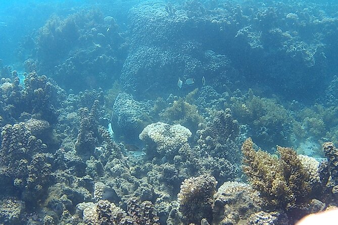 Private Half Day Sailing Excursion on the Lagoon of Tahiti - Timing, cancellation, and small practical details