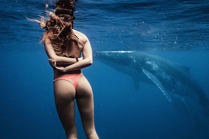 Private Half Day Whale Watching Tour - Why Moorea’s whale season matters