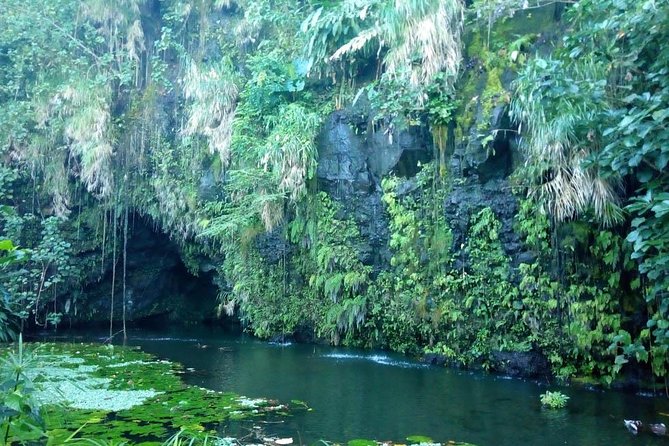 Private Island Tour ( 5 HOURS) - Vaipahi Gardens on the southern coast