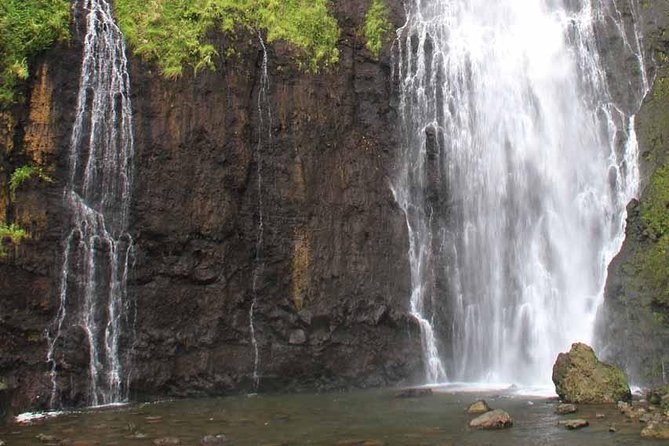 Private Island Tour ( 5 HOURS) - Guides who shape the experience