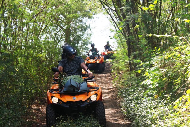 Private Island Tour by ATV / QUAD - What the private format is really worth