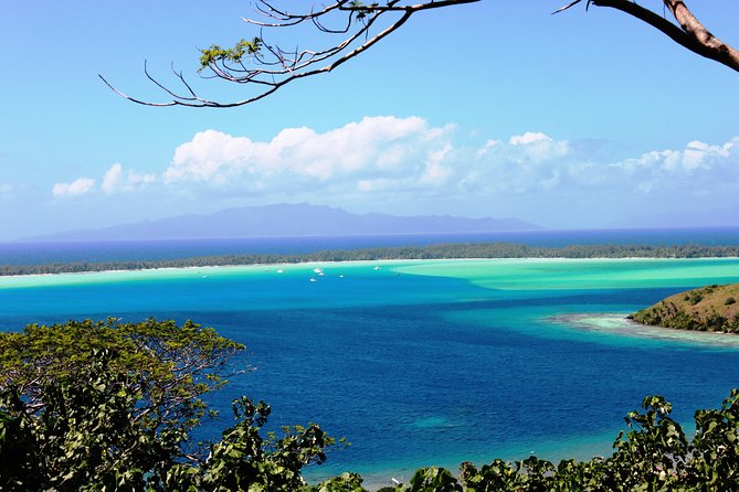 Private Island Tour by ATV / QUAD - The WWII cannons add a worthwhile history stop