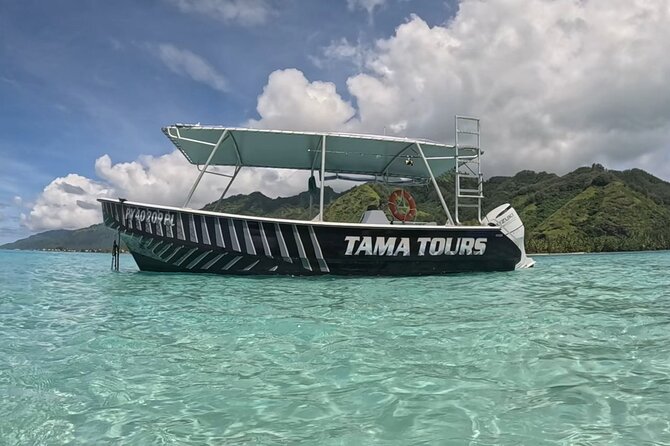 Private Lagoon Exploration and Snorkeling in Moorea - Searching for spinner dolphins near the reef