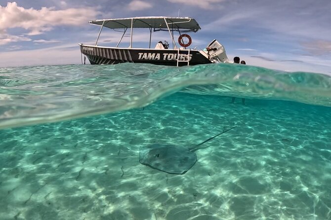 Private Lagoon Exploration and Snorkeling in Moorea - Who will get the best value