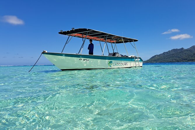 Private Marine Excursion and snorkeling in the lagoon of Moorea - Key points to know before you book