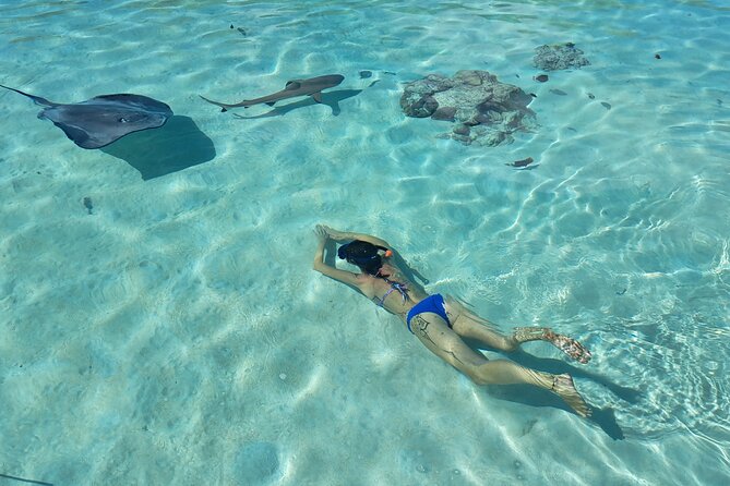 Private Marine Excursion and snorkeling in the lagoon of Moorea - A private morning or afternoon on Moorea’s lagoon