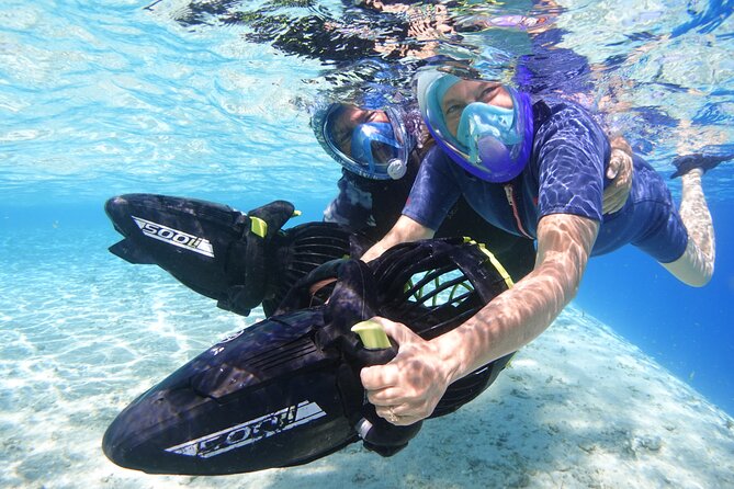 Private Marine Wildlife Adventure with Underwater Photography - Who will get the most from this Moorea outing