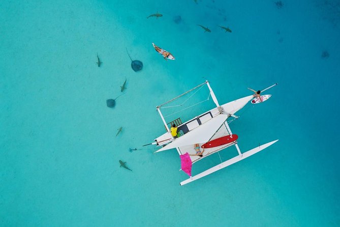 Private Moorea Discovery Half-day Sailing - Key points at a glance