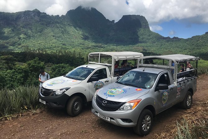 Private Morning Moorea 4WD Tour with Champagne - Pineapple fields and Cook Bay