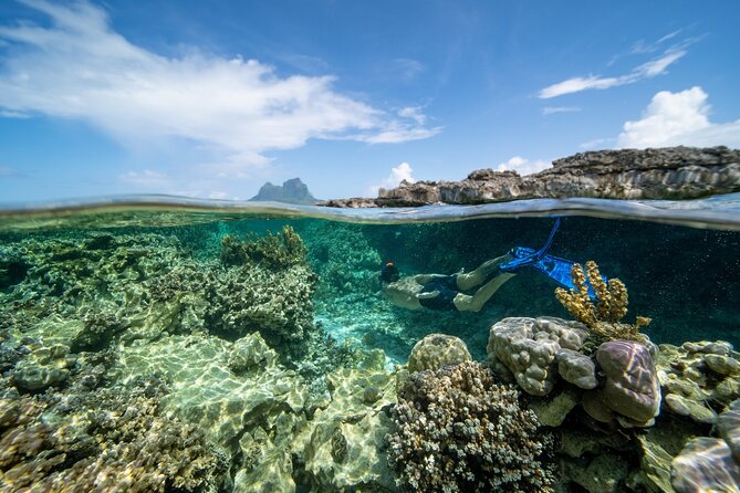 Private Reef Discovery Luxury Dream Day Tour in Bora Bora - Who will enjoy this private experience most?