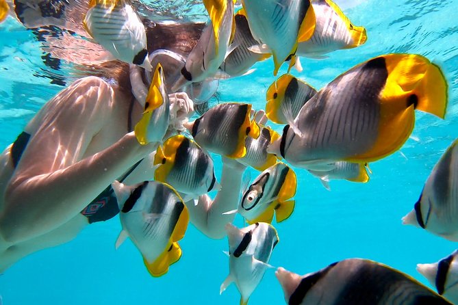 PRIVATE Sunset Tour: Moorea Snorkeling on a Catamaran named Taboo - The sunset portion and the light on the lagoon