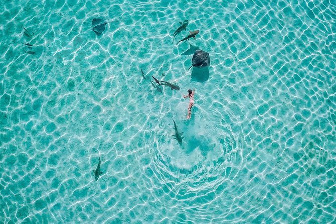 PRIVATE Sunset Tour: Moorea Snorkeling on a Catamaran named Taboo - Who will get the most from this outing