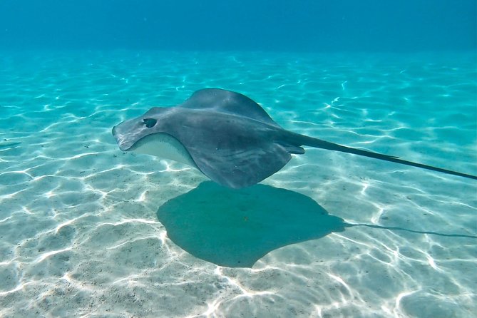 PRIVATE Sunset Tour: Moorea Snorkeling on a Catamaran named Taboo - Booking, cancellations, and practical planning