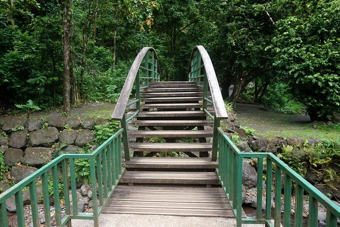 Private Tahiti Circle Island - Waterfalls, Black Sand & Views - Vaipahi Water Gardens and the island’s plant life