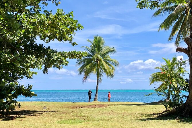 Private TAHITI Half Day Circle Island Tour (Departs 8am or 1pm) - Timing, pickup, and the pace of the stops