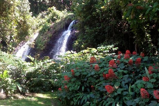 private Tahiti island discovery - Point Venus and Tahiti’s black-sand coast