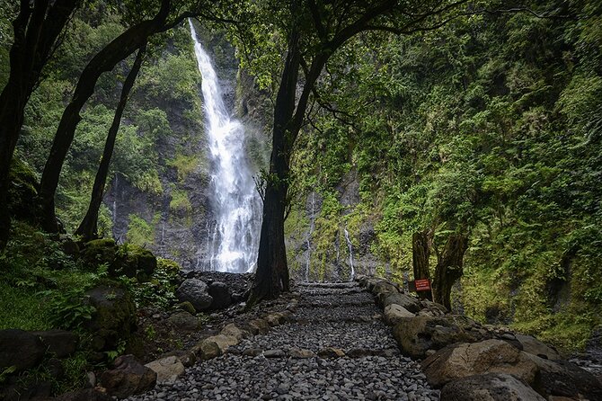 Private : Tahiti Museum & Circle Island Tour, Afternoon Tour (5h) - Vaipahi Gardens and the waterfall stop