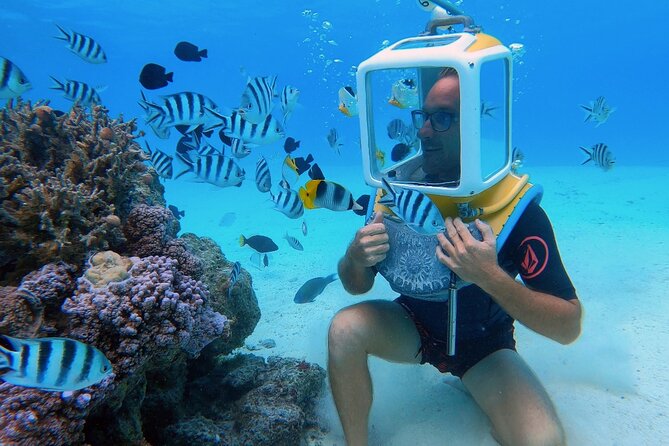 Private Tour: Aqua Safari Scuba Diving - Key points to know before you book