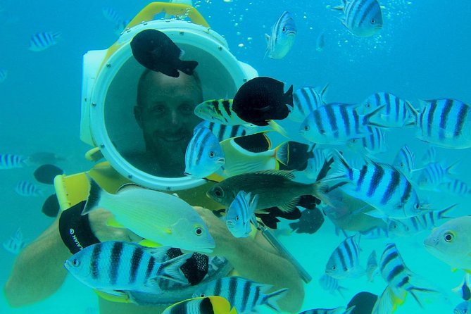 Private Tour: Aqua Safari Scuba Diving - Why the private format changes the outing