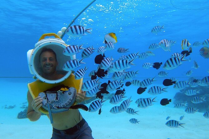 Private Tour: Aqua Safari Scuba Diving - The staff and the feeling of safety