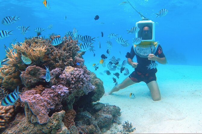Private Tour: Aqua Safari Scuba Diving - Who will enjoy Aqua Safari most