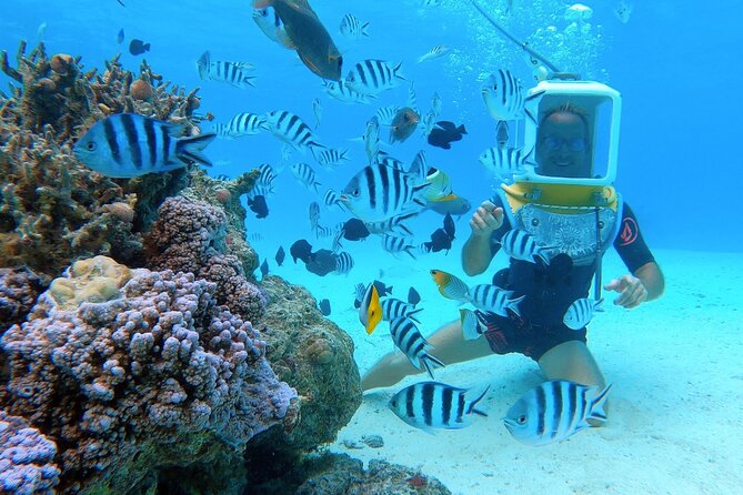 Private Tour: Aqua Safari Scuba Diving - Practical details that matter