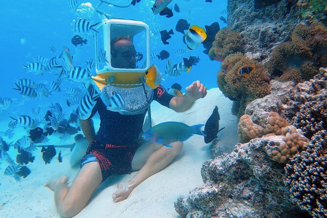Private Tour: Aqua Safari Scuba Diving - What happens during the two-hour outing