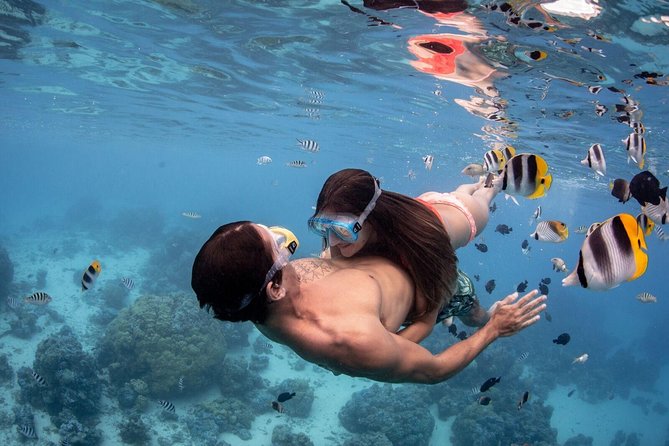 Private Tour: Bora Bora Lagoon Eco Snorkel Cruise - 3hrs or 6hrs - The eco approach is part of the experience