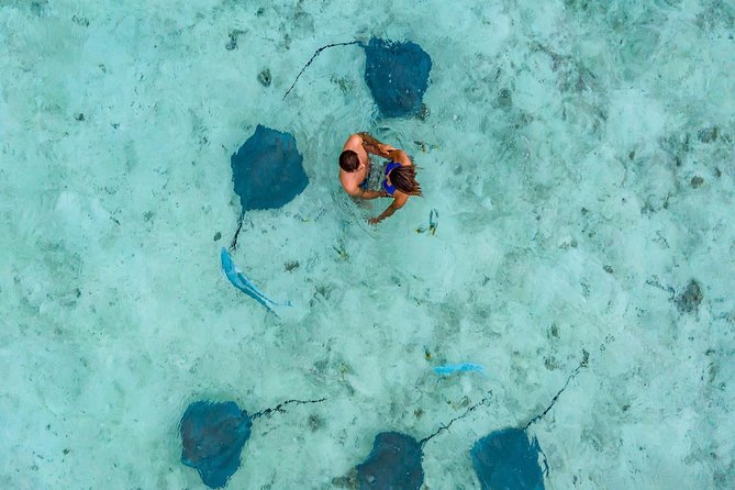 Private Tour: Bora Bora Lagoon Eco Snorkel Cruise - 3hrs or 6hrs - Who should book this cruise?
