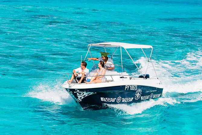 Private Tour: Bora Bora Whale Watching & Swimming Experience - What the whale search is really like