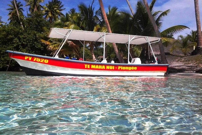 Private tour from Raiatea - 1/2 day excursion to Tahaa or other - How to Read the Mixed Feedback