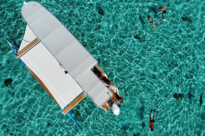 Private tour from Raiatea - 1/2 day excursion to Tahaa or other - Should You Book It?
