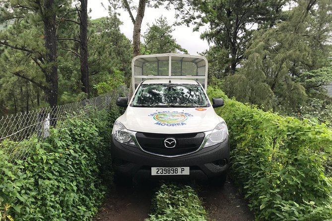 Private Tour Moorea 4WD - Belvedere Pineapple Farm, Magic Mount. - What the guide adds to the experience