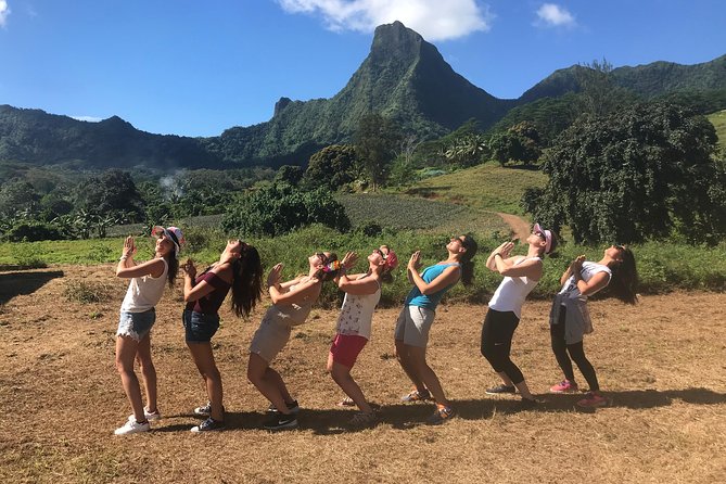 Private Tour Moorea 4WD - Belvedere Pineapple Farm, Magic Mount. - Pickup, timing, and comfort