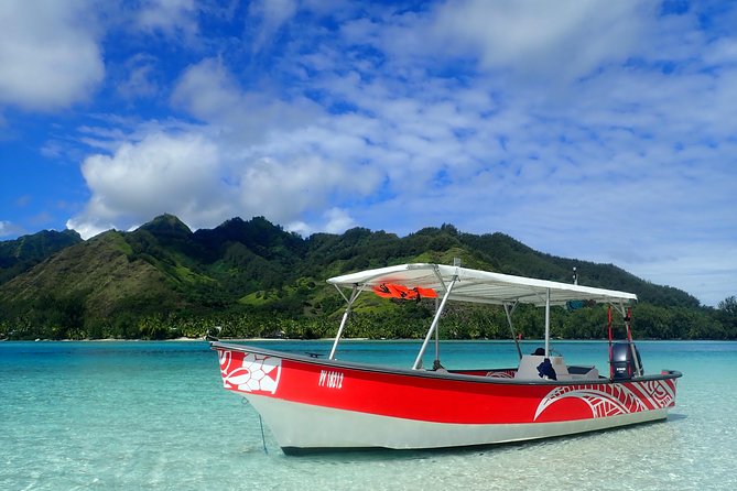 Private tour observing and swimming with humpback whales in Moorea - Searching for humpback whales from July to November