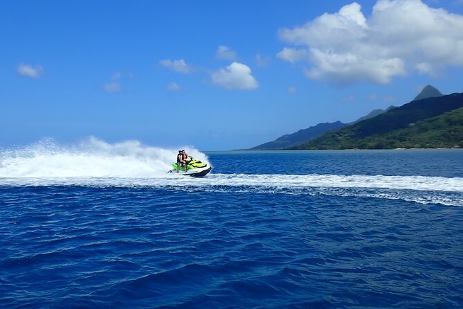 Private tour observing and swimming with humpback whales in Moorea - What the $1,640 price really buys